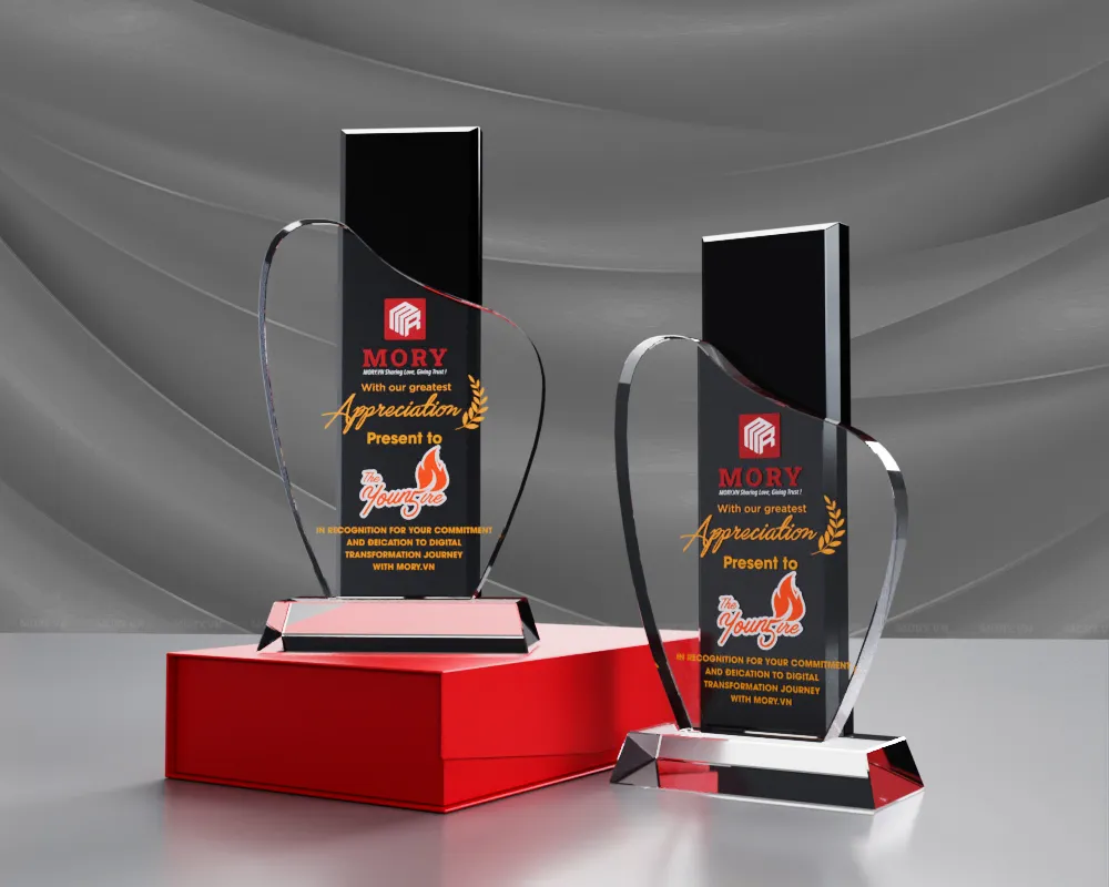 Kỷ niệm chương pha lê PL31