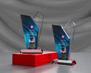 Kỷ niệm chương pha lê PL32