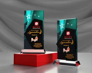 Kỷ niệm chương pha lê PL35