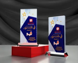 Kỷ niệm chương pha lê PL35