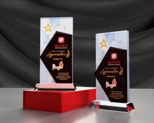 Kỷ niệm chương pha lê PL35