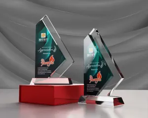 Kỷ niệm chương pha lê PL36