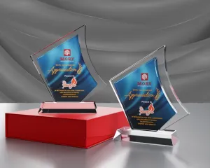 Kỷ niệm chương pha lê PL37