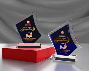 Kỷ niệm chương pha lê PL37