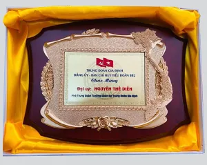 Kỷ niệm chương gỗ đồng 01 (27x33cm)