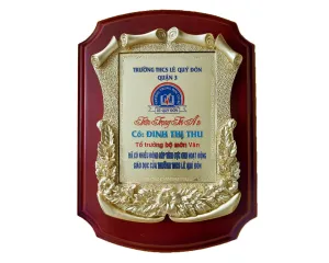 Kỷ niệm chương gỗ đồng 06
