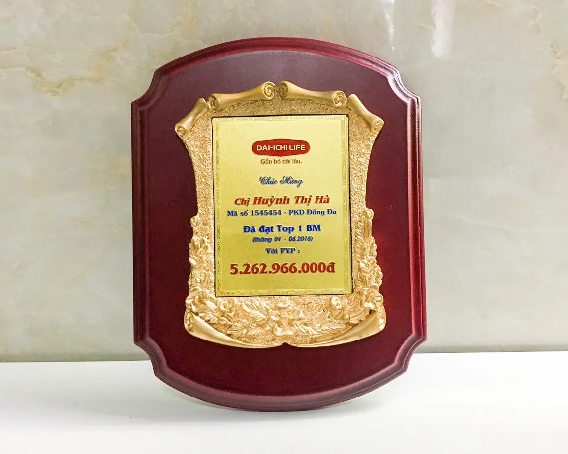 Kỷ niệm chương gỗ đồng 07
