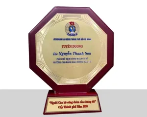 Kỷ niệm chương gỗ đồng 08