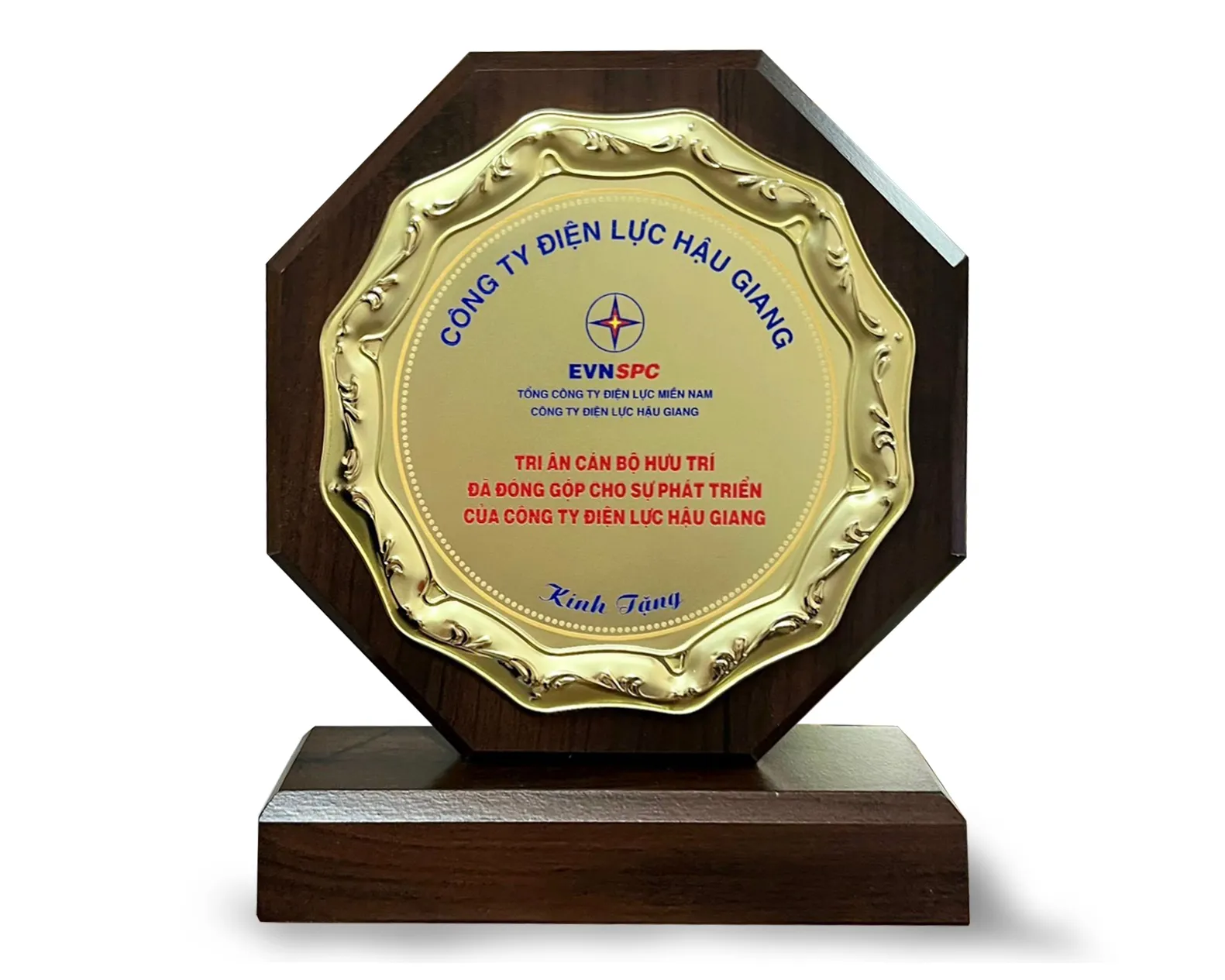 Kỷ niệm chương gỗ đồng 23