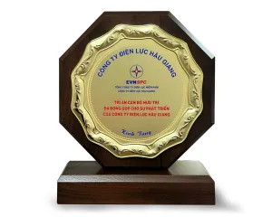Kỷ niệm chương gỗ đồng 23