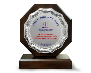 Kỷ niệm chương gỗ đồng 23 (Bạc)