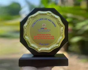 Kỷ niệm chương gỗ đồng 23 (Vàng)