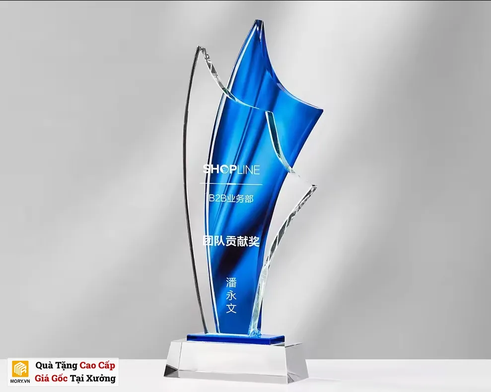 Kỷ niệm chương pha lê PL50