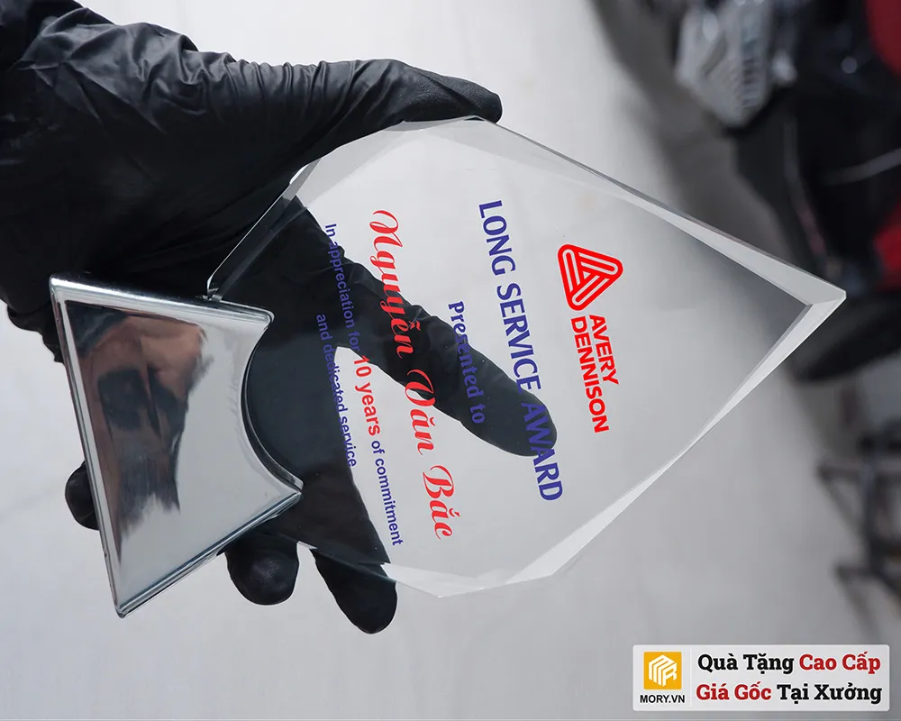 Kỷ niệm chương cao cấp LUX1