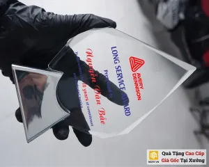 Kỷ niệm chương cao cấp LUX1