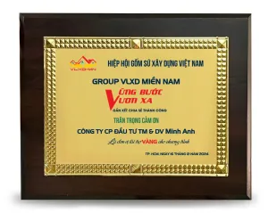 Kỷ niệm chương gỗ đồng 17