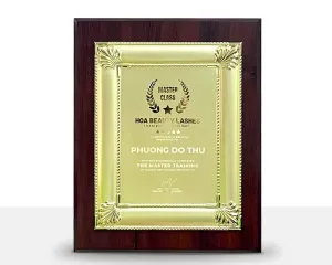 Kỷ niệm chương gỗ đồng 28