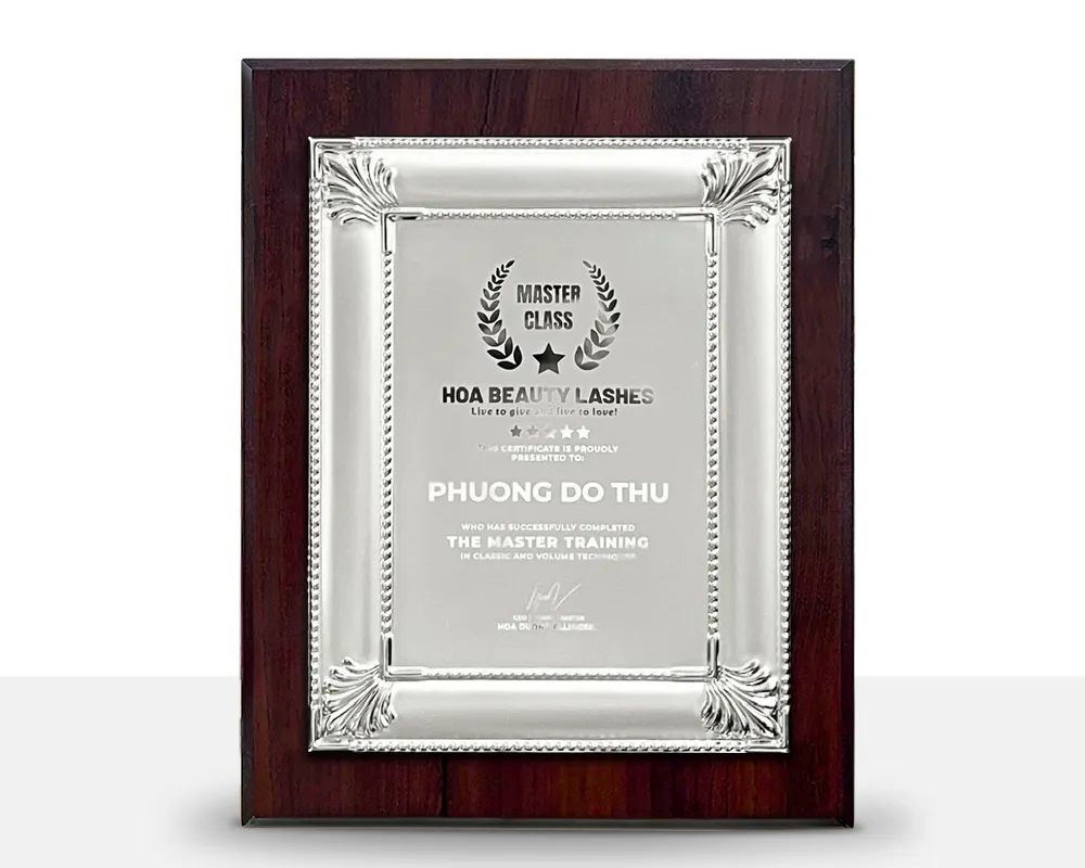 Kỷ niệm chương gỗ đồng 28