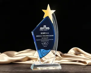 Kỷ niệm chương pha lê PL58