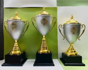 Cúp thể thao KL01 (Giải nhất)