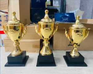 Cúp thể thao hiện đại KL12