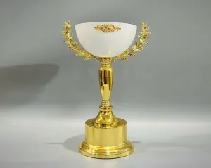 Cúp thể thao KL29
