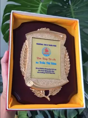 Kỷ niệm chương gỗ đồng 03