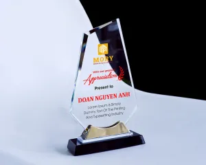 Kỷ niệm chương pha lê PL61