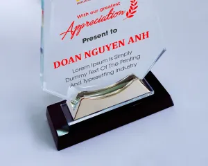 Kỷ niệm chương pha lê PL61
