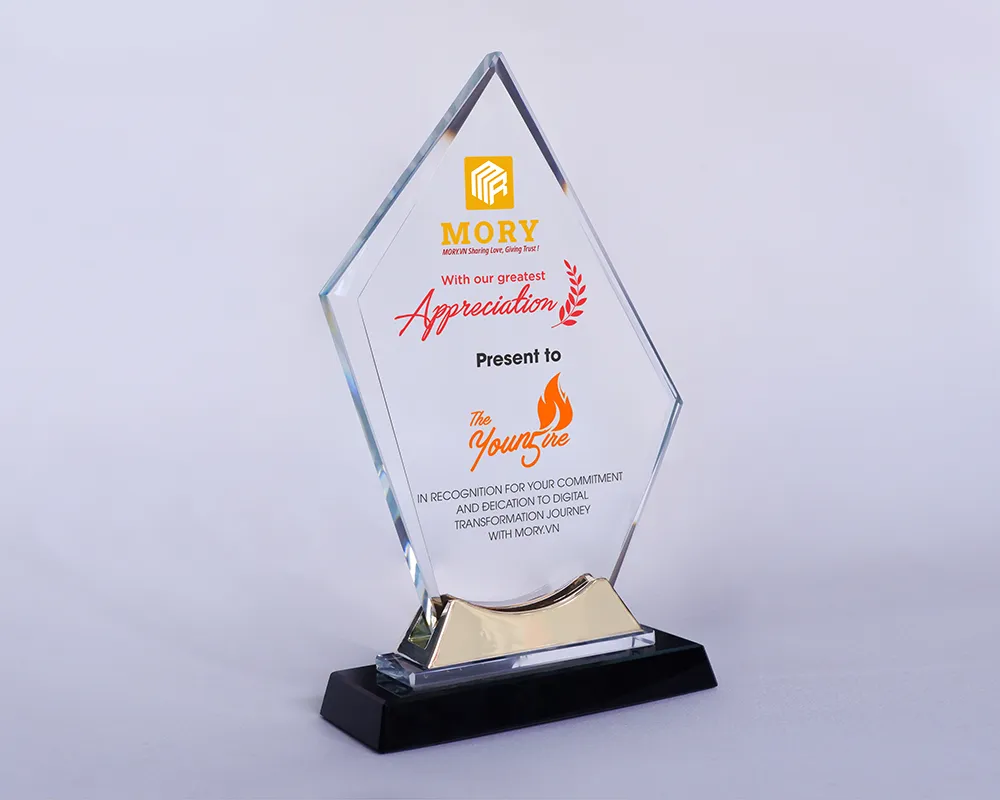 Kỷ niệm chương pha lê PL62