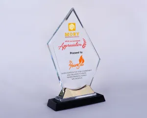 Kỷ niệm chương pha lê PL62