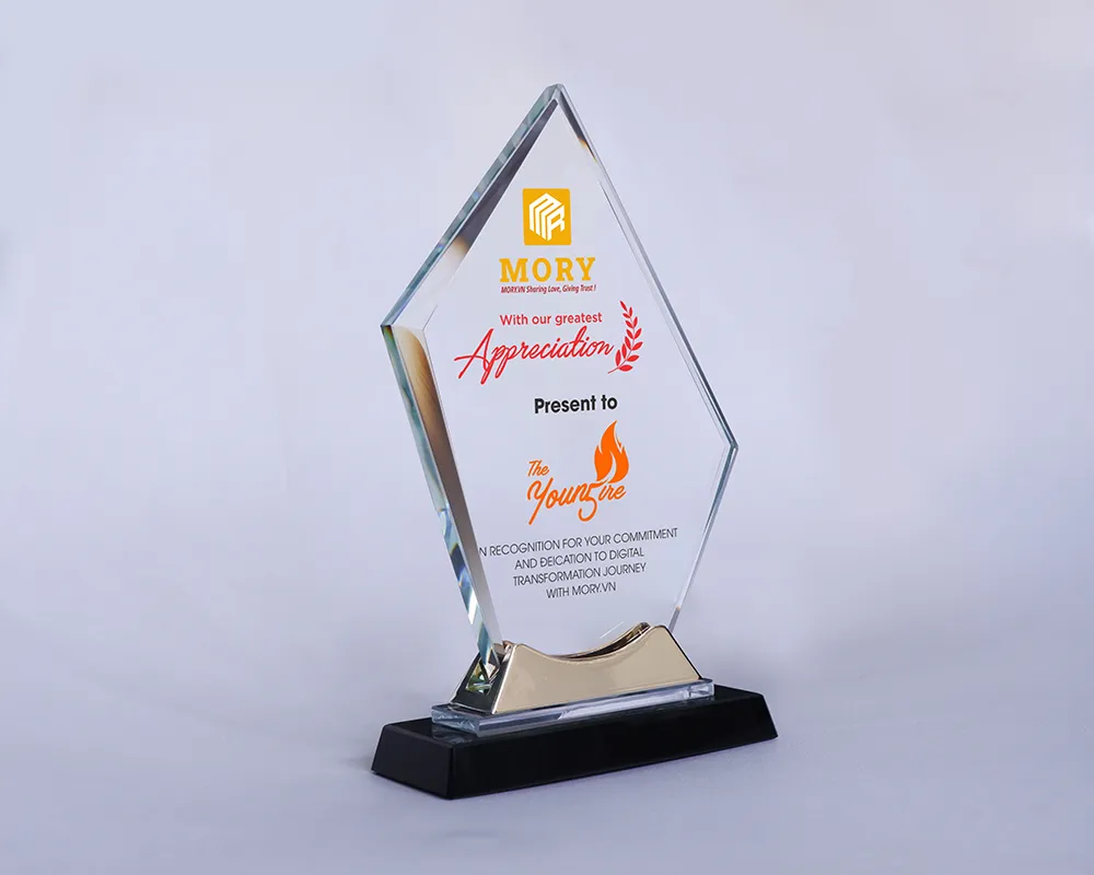 Kỷ niệm chương pha lê PL62