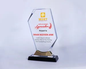 Kỷ niệm chương pha lê PL63