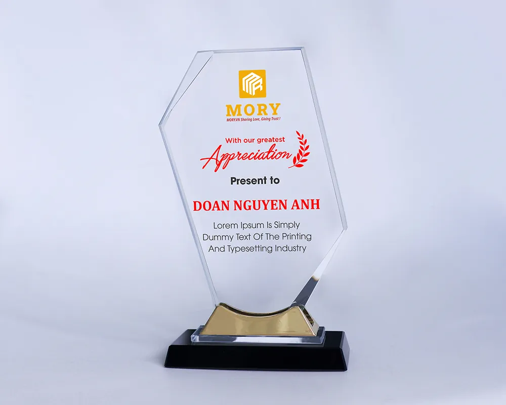 Kỷ niệm chương pha lê PL63