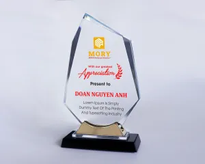 Kỷ niệm chương pha lê PL65