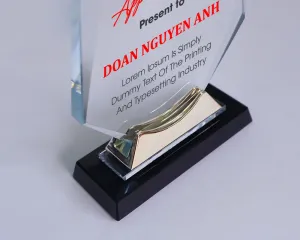 Kỷ niệm chương pha lê PL65