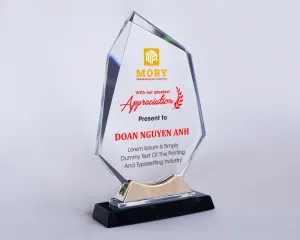 Kỷ niệm chương pha lê PL65