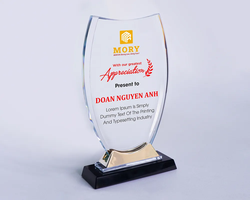 Kỷ niệm chương pha lê PL66