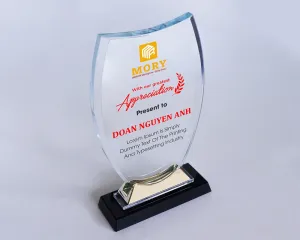 Kỷ niệm chương pha lê PL66