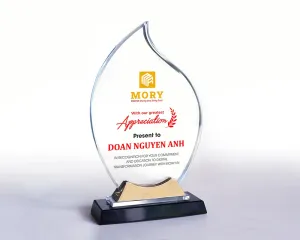 Kỷ niệm chương pha lê PL67