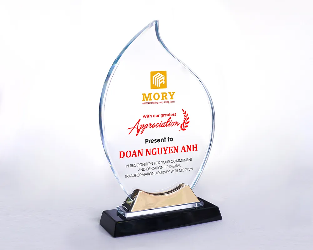 Kỷ niệm chương pha lê PL67