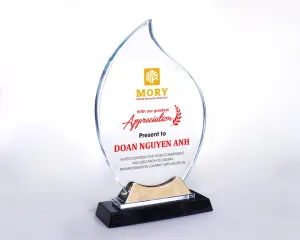 Kỷ niệm chương pha lê PL67