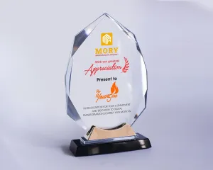 Kỷ niệm chương pha lê PL68