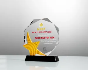 Kỷ niệm chương pha lê PL81