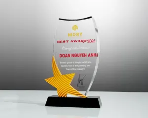 Kỷ niệm chương pha lê PL81