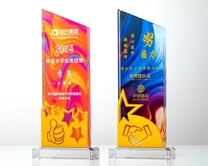 Kỷ niệm chương pha lê PL90