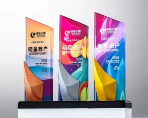 Kỷ niệm chương pha lê PL91