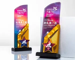 Kỷ niệm chương pha lê PL93